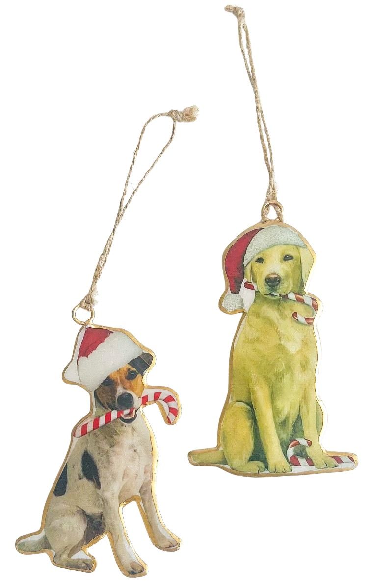 Dogs With Candy Canes