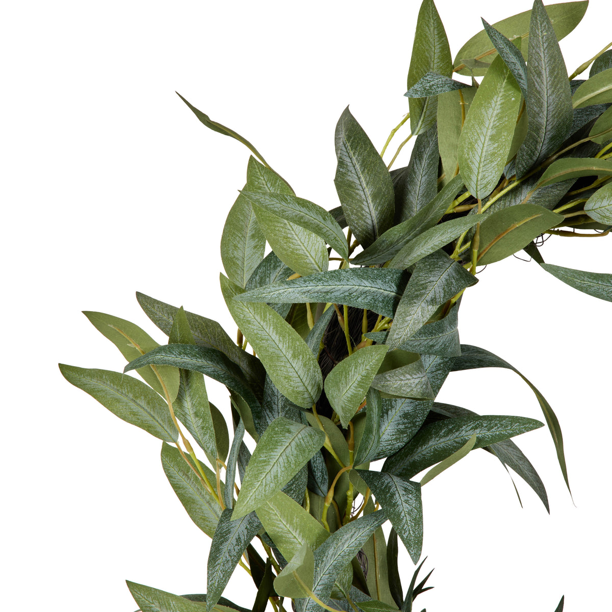 Eucalyptus Wreath Green