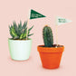 Plant Flag