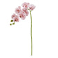 Phalarnopsis Orchid Pink 76cm