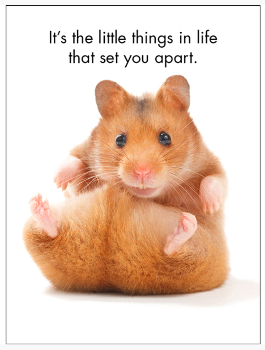 You’re One Of A Kind Affirmation Cards