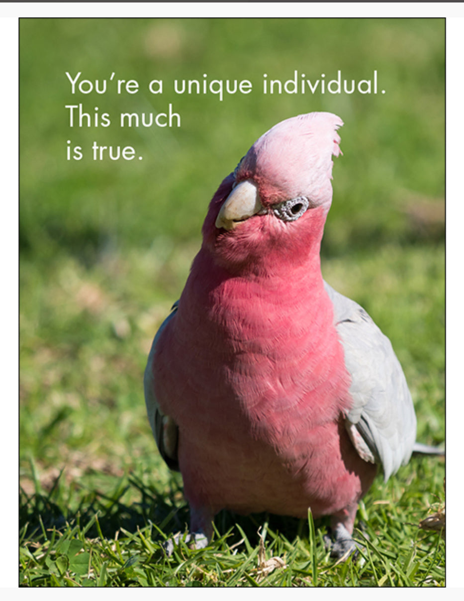 You’re One Of A Kind Affirmation Cards