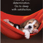 Good Dogs 24 Cards - Affirmations Publishing House