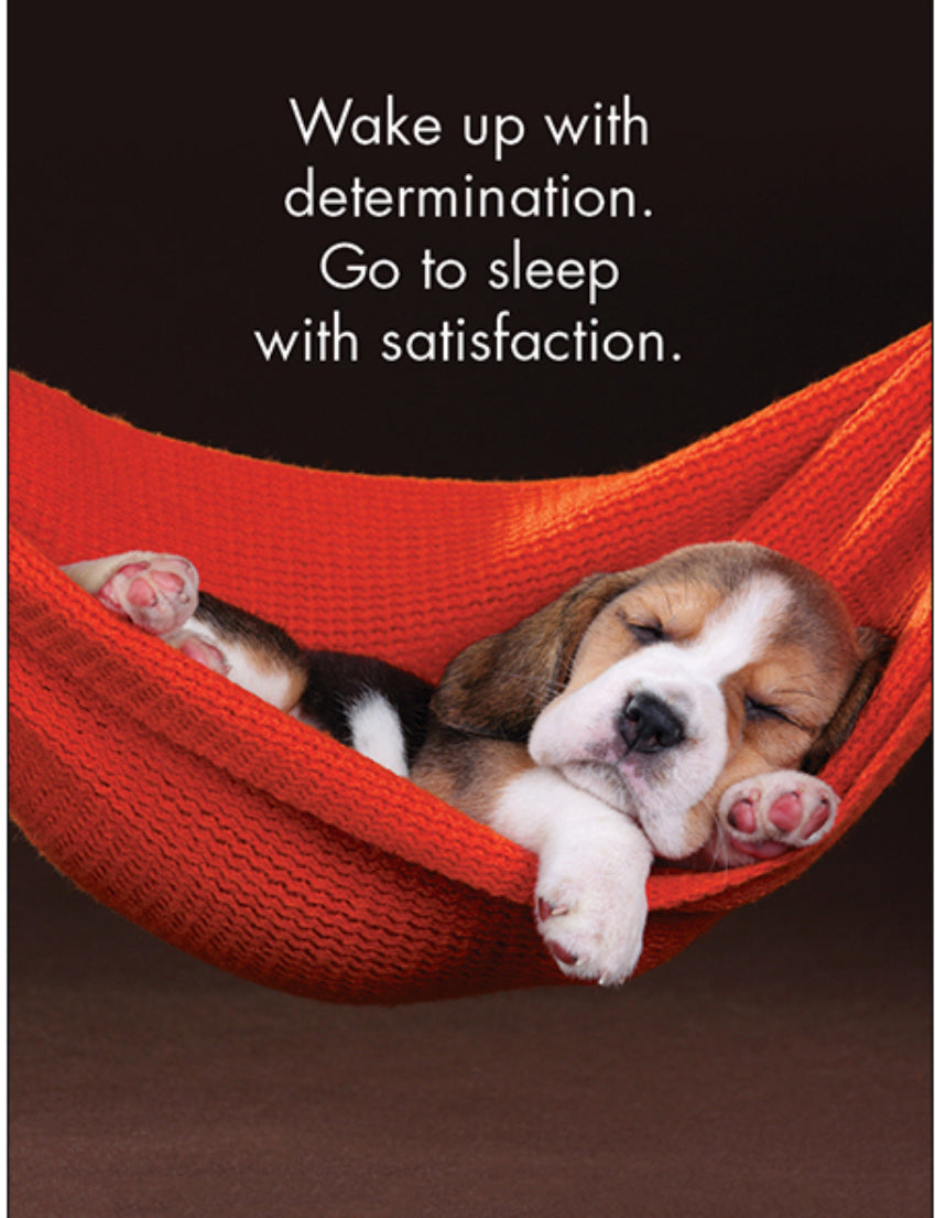 Good Dogs 24 Cards - Affirmations Publishing House