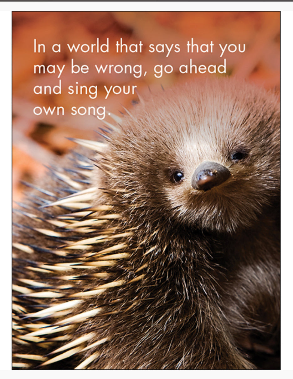 You’re One Of A Kind Affirmation Cards