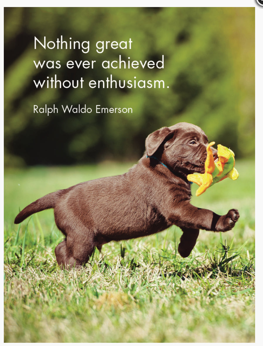 Puppy Love Affirmation Cards