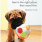 Puppy Love Affirmation Cards
