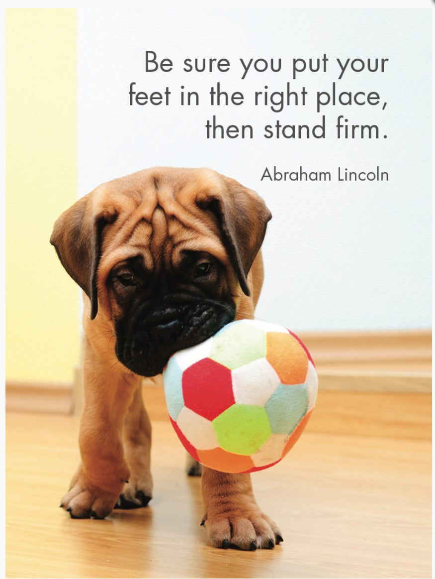 Puppy Love Affirmation Cards