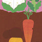 Love Vegie’s With Jamie Oliver!
