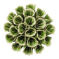 Ceramic Flower Succulent
