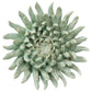 Ceramic Flower Chrysanthemum Mist