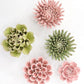 Ceramic Flower Precious