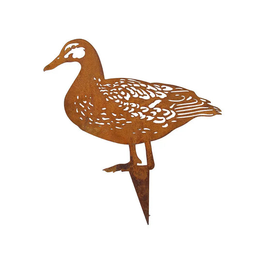 Garden Spike Duck