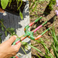 Veggie Soup Garden Tools And Glove Set