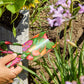 Veggie Soup Garden Tools And Glove Set