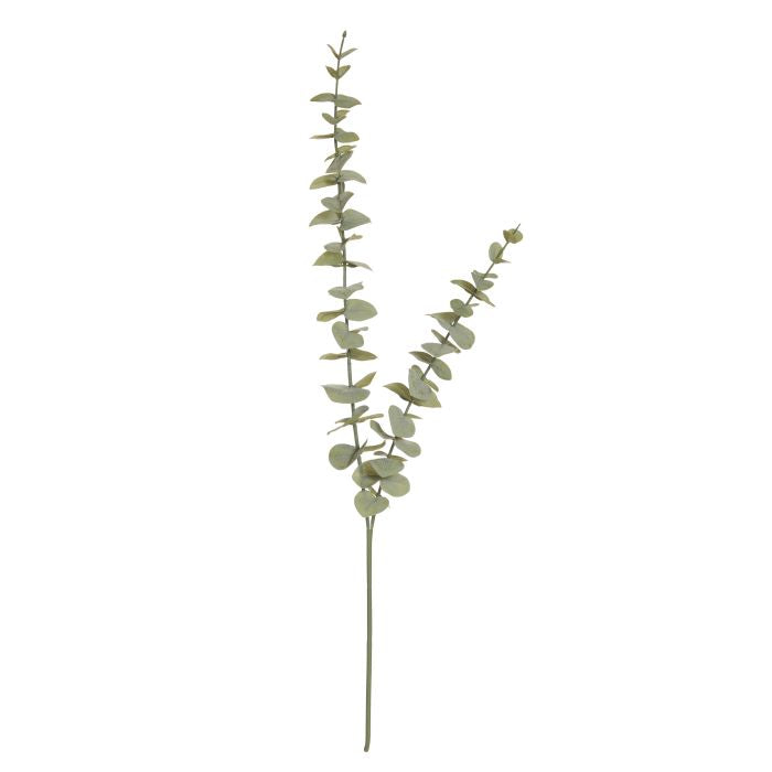 Eucalyptus Spray Green