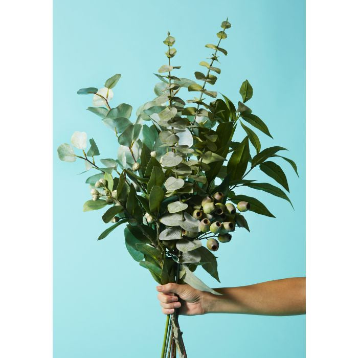 Eucalyptus Spray Green