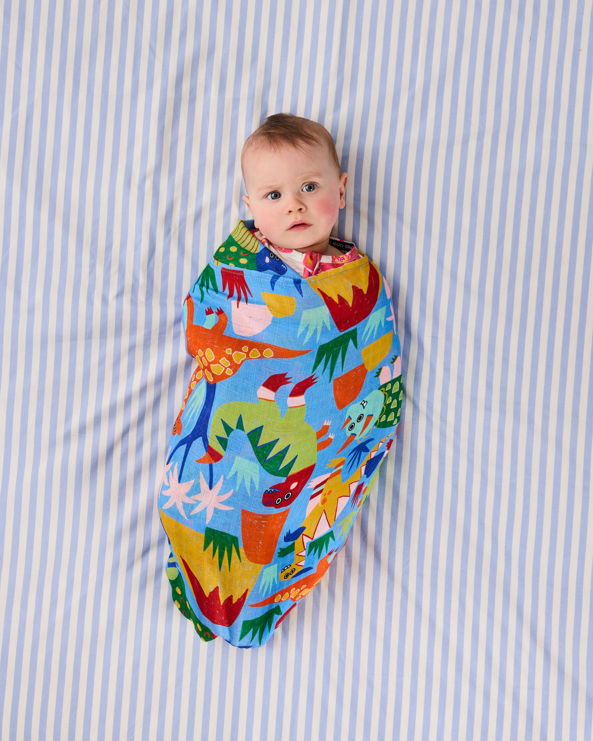 Dinosaur Roar Bamboo Swaddle