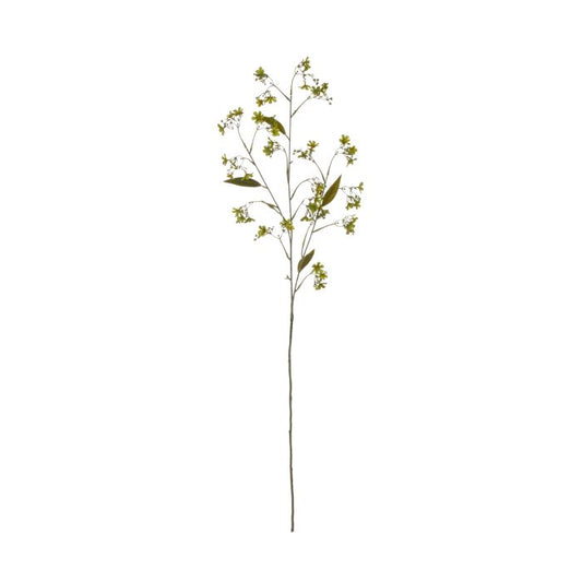 Daphne Spray