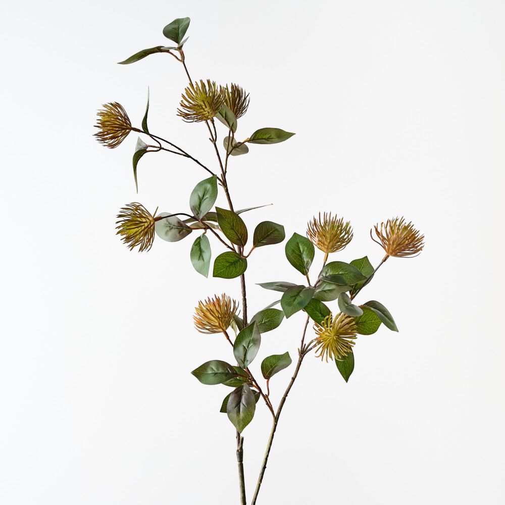 Protea Leucospermum Spray Rust