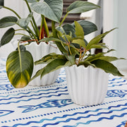 Penny White Planter Small