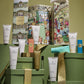 12 Days Of Christmas Discovery Collection
