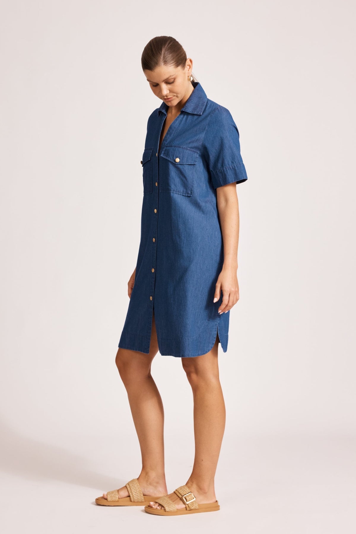 Melenia Denim Shirt Dress