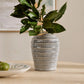 Nautilus Light Blue Vase