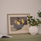 Pear Bowl Still Life Framed Print