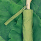 Olive Compact Duck Umbrella