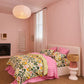 Wander Organic Cotton Pillowcases 2P Std Set
