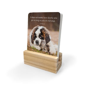 Little Paws 24 Affirmation Cards