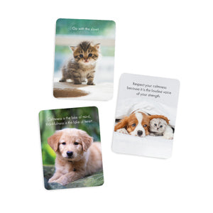 Little Paws 24 Affirmation Cards