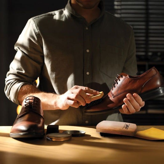 Shoe Care Kit