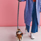 Cosy Tartan Dog Lead - Kip&Co