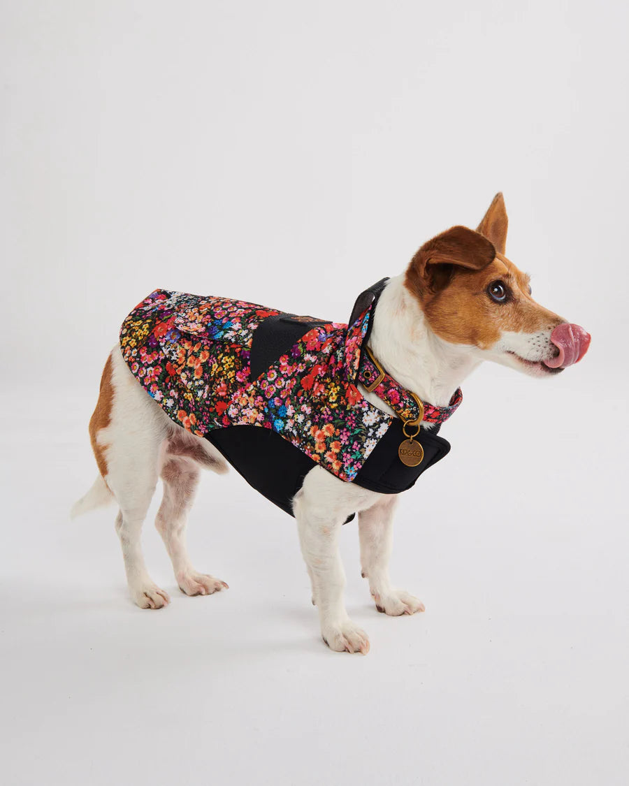Forever Floral Dog Collar - Kip&Co