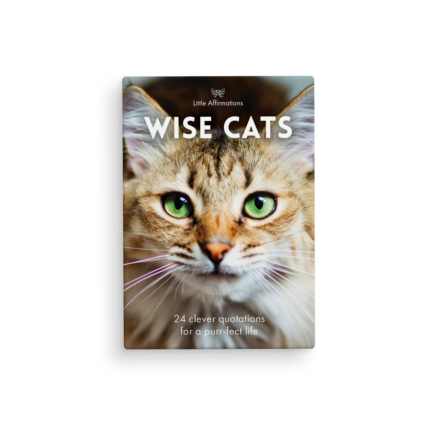 Wise Cats Affirmation Cards
