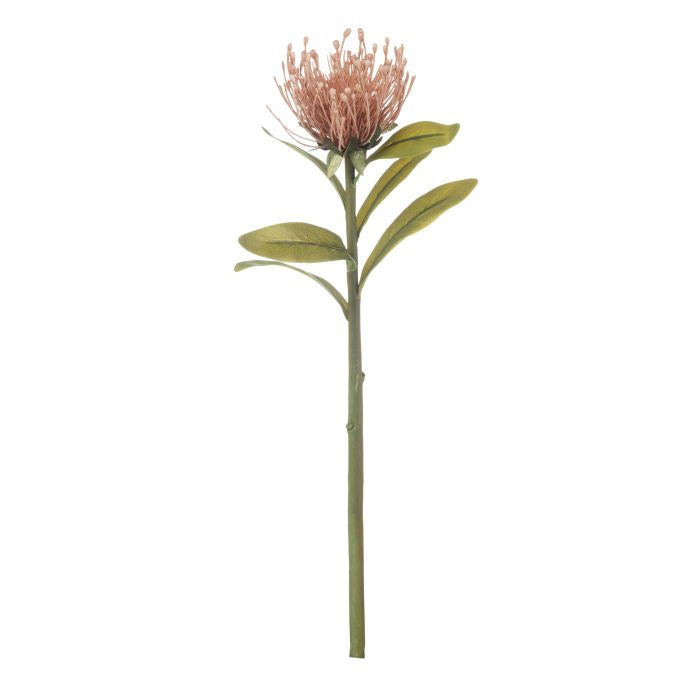 Pincushion Stem - Rouge