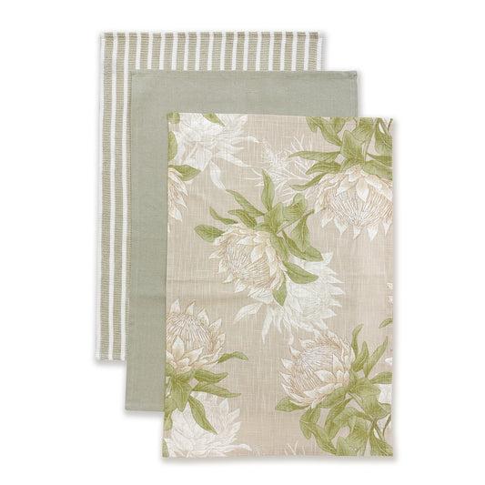 King Protea Teatowel Set/3 - Madras Link