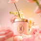 Marshmallow Sugar Crystal Body Scrub