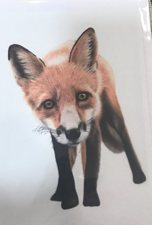 Red Fox Greeting Card - Margrit Mashado