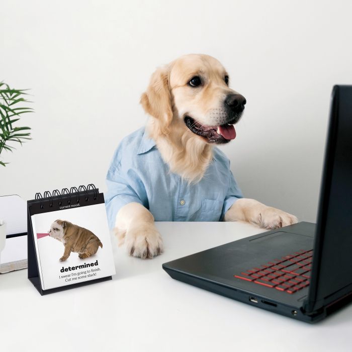 Daily Doggo Desktop Flip Book - Fred