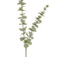 Eucalyptus Spray Green