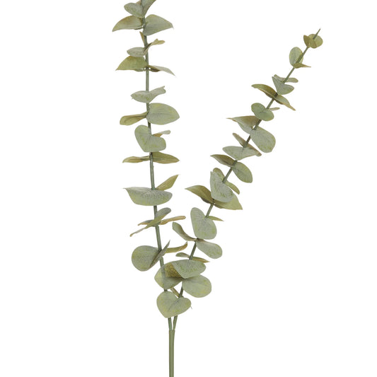 Eucalyptus Spray Green