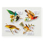 Salty Birds Puzzle
