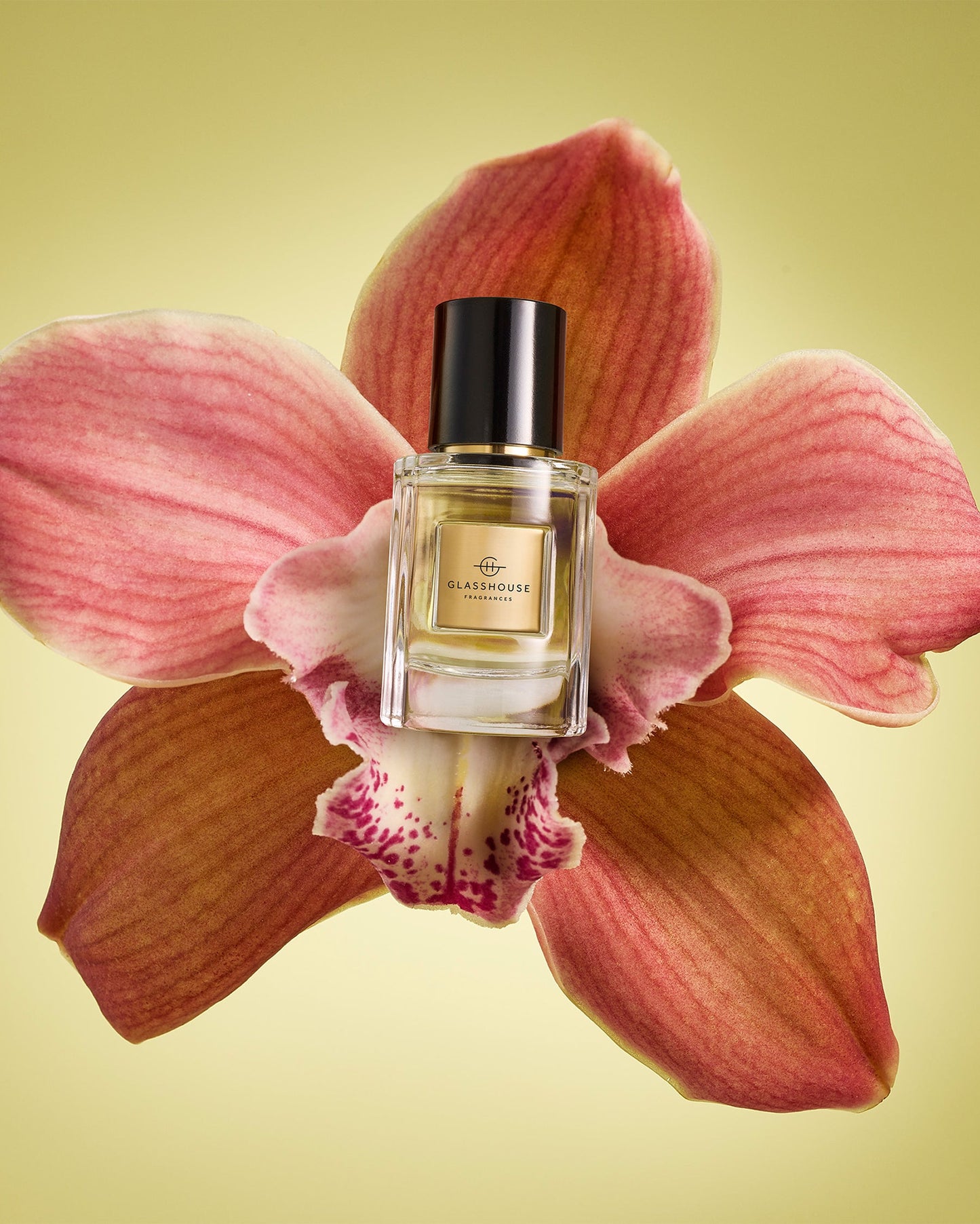 Tuberose Immortelle 30ml EDP