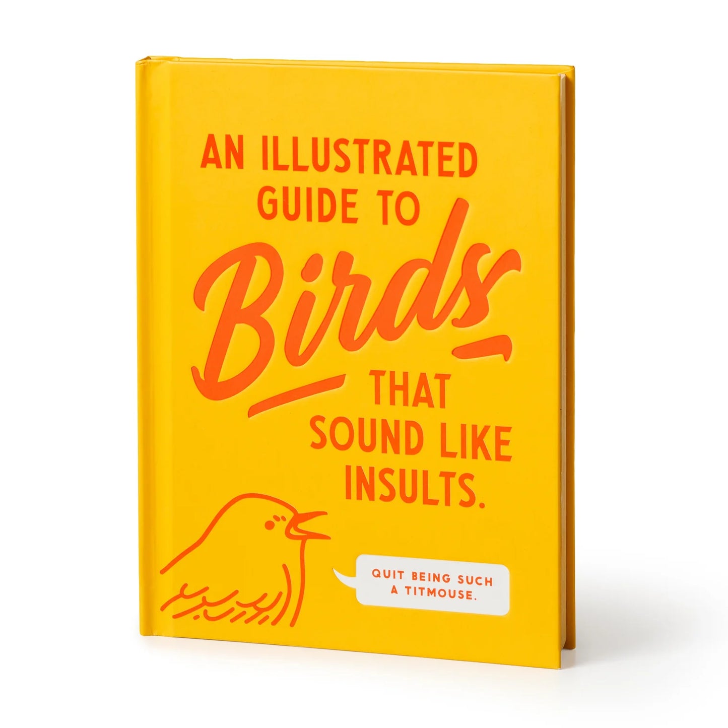 Birds That Sound Like Insults