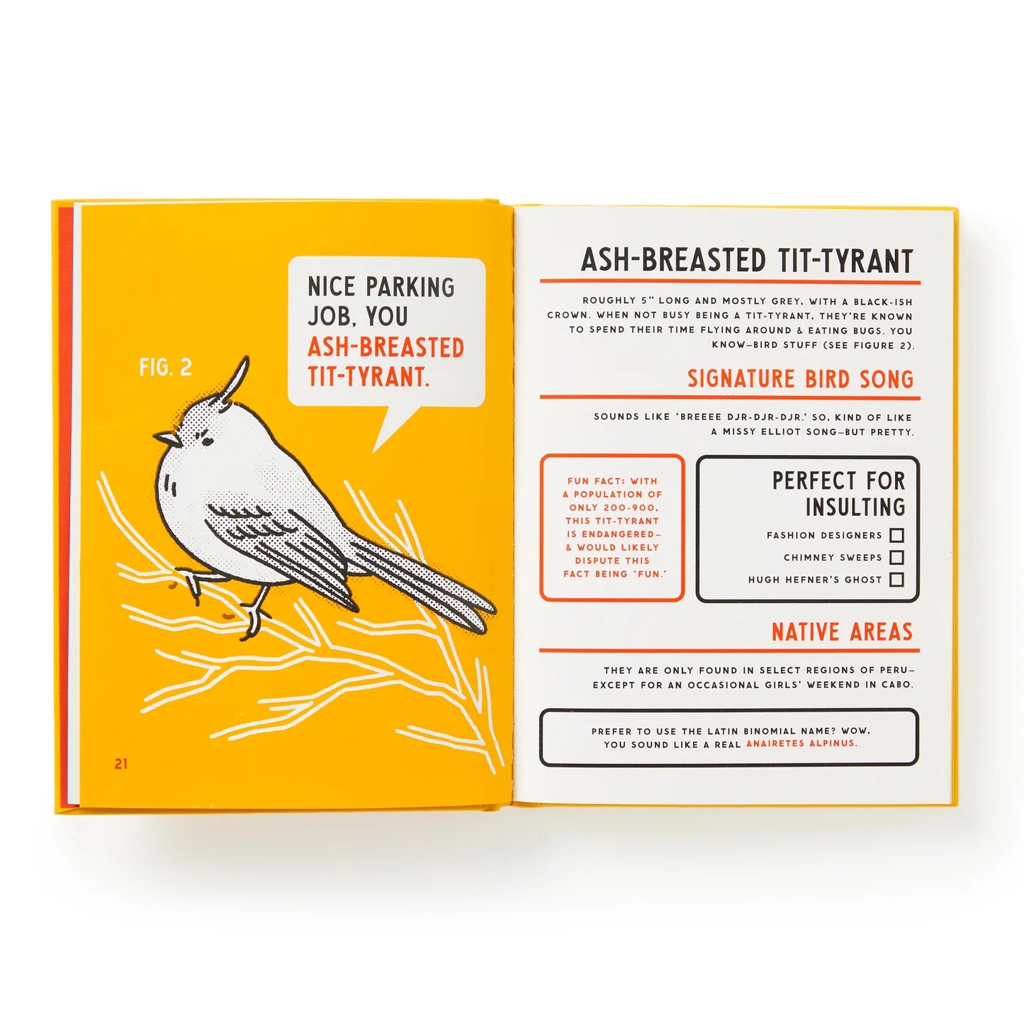 Birds That Sound Like Insults