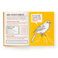 Birds That Sound Like Insults