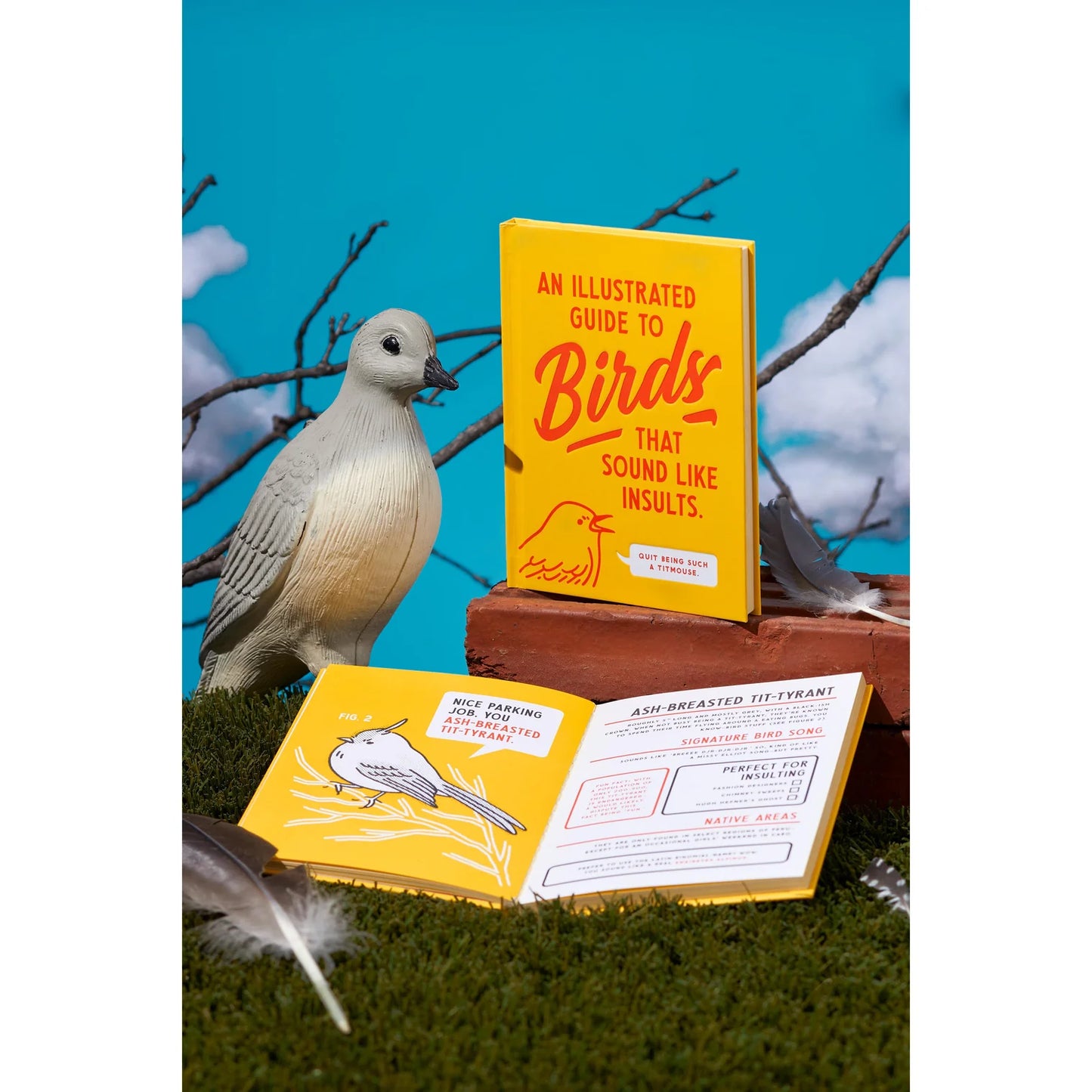 Birds That Sound Like Insults
